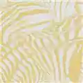 Beach House Teen Dream