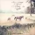 Bill Callahan Sometimes I Wish We Were An Eagle