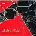 Chat Noir Difficult To See You