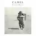 Camel Dust And Dreams