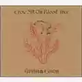 Graham Coxon Crow Sit on Blood Tree