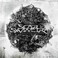 Scar Symmetry Dark Matter Dimensions