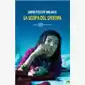 David Foster Wallace La Scopa del Sistema