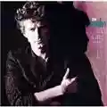 Don Henley Building The Perfect Beast