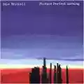 Edie Brickell Picture Perfect Morning