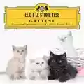 Elio E Le Storie Tese Gattini - Selezione Orchestrale di Classici Nostri Belli