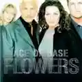 Ace Of Base Flowers