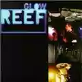 Reef Glow