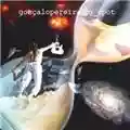 Gonçalo Pereira @g_spot