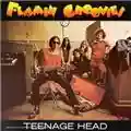 Flamin' Groovies Teenage Head