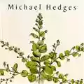Michael Hedges Taproot