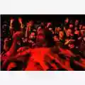 Iggy and The Stooges Live at Shibuya AX Tokyo  22.03.04