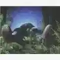 Michel Gondry Human Behaviour (Björk Music Videoclip)