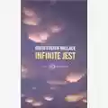 David Foster Wallace Infinite Jest