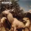 Interpol Our Love To Admire
