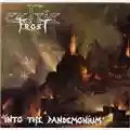 Celtic Frost Into The Pandemonium