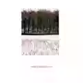 Joy Division Atmosphere