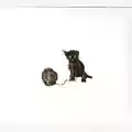 Kiss the Anus of a Black Cat An Interlude to the Outermost
