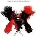 Kings Of Leon Only By The Night