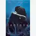 Ray Lawrence Lantana