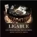 Luciano Ligabue Sette Notti in Arena