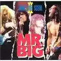 Mr. Big Raw Like Sushi II