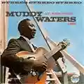Muddy Waters At Newport 1960