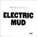 Muddy Waters Electric Mud