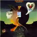 Nick Drake Pink moon