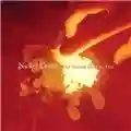 Nickel Creek Why Should the Fire Die?