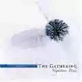 The Gathering Nighttime Birds