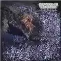 Of Feather and Bone Sulfuric Disintegration