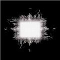 Tool Ænima
