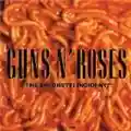 Guns N' Roses The Spaghetti Incident?
