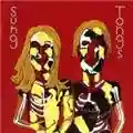 Animal Collective Sung Tongs
