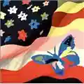 The Avalanches Wildflower