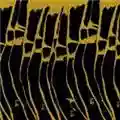 Charalambides Joy Shapes