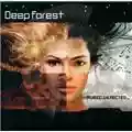 Deep Forest Music.Detected_