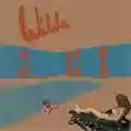 Andy Shauf Wilds