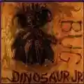 Dinosaur Jr. Bug