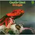 Gentle Giant Octopus