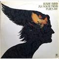 Rare Bird As Your Mind Flies By