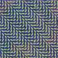 Animal Collective Merriweather Post Pavilion
