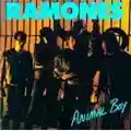 Ramones Animal Boy