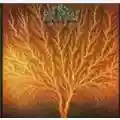 Van der Graaf Generator Still Life