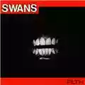 Swans Filth