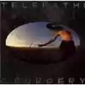 Flaming Lips Telepathic Surgery