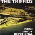 The Triffids Born Sandy Devotional