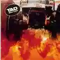 Tad Salt Lick