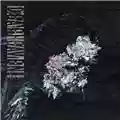 Deafheaven New Bermuda